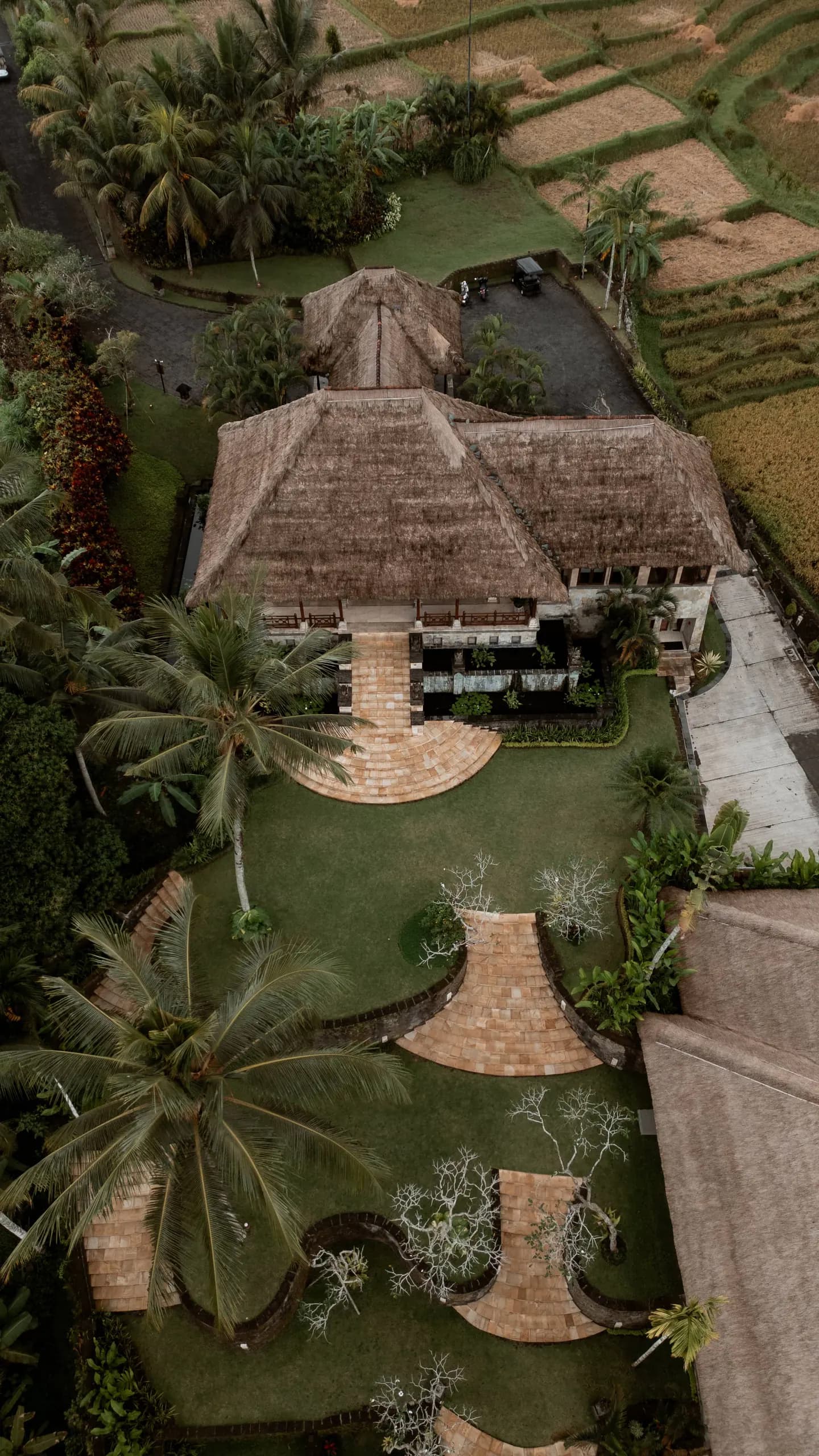 Hidden Waterfalls of Bali: Off the Beaten Path