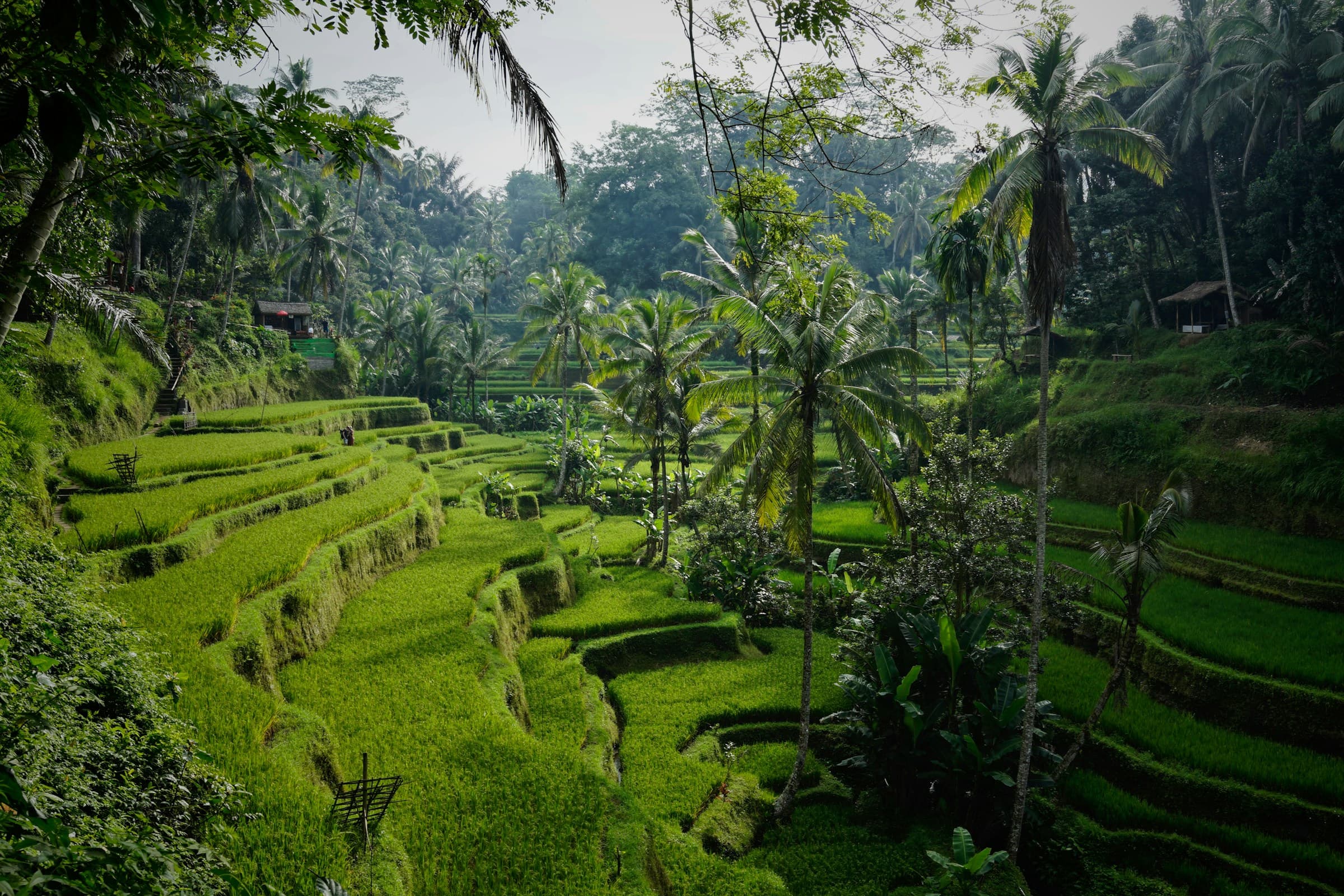 Ubud, Bali