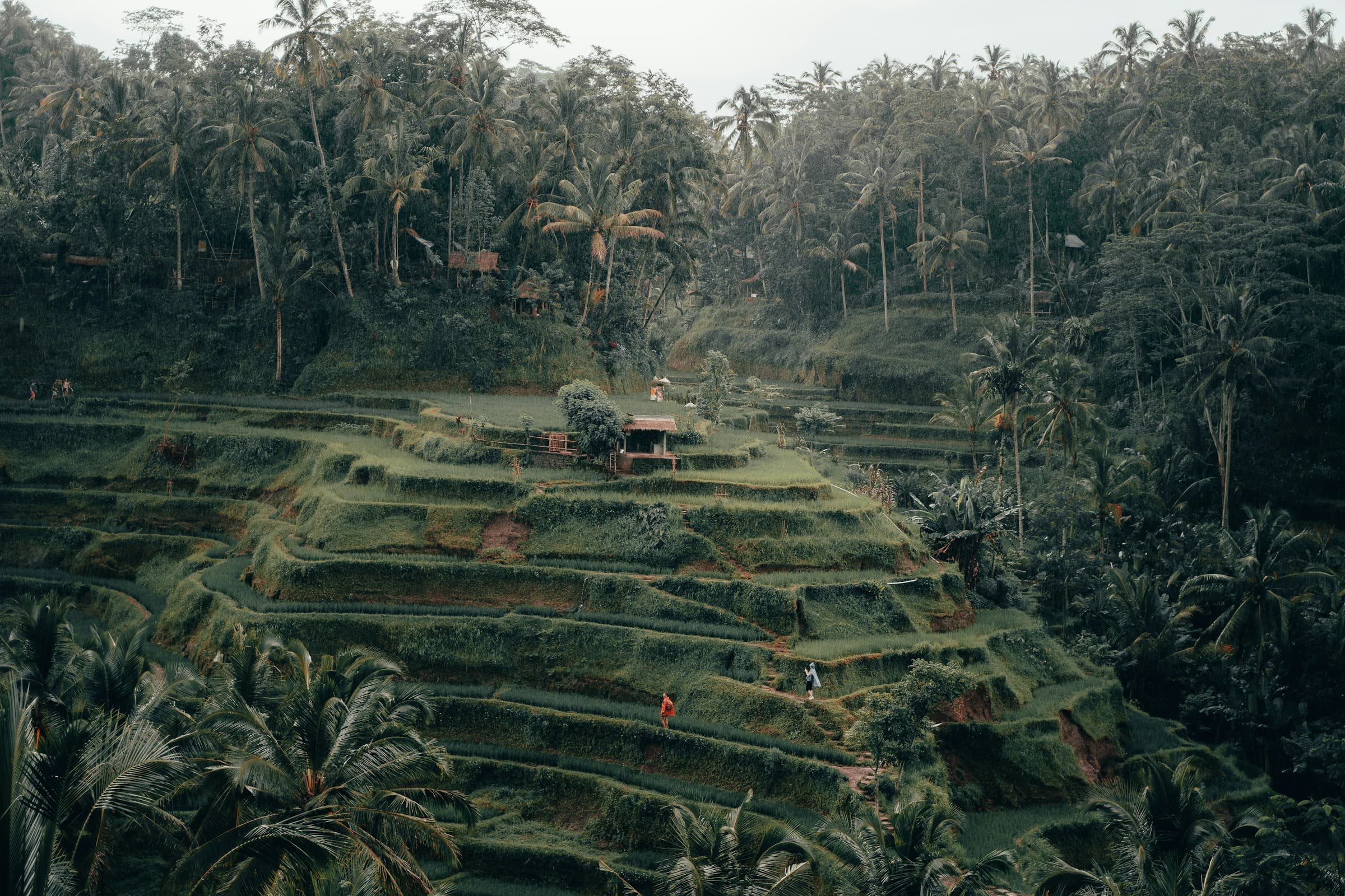 Kintamani, Bali